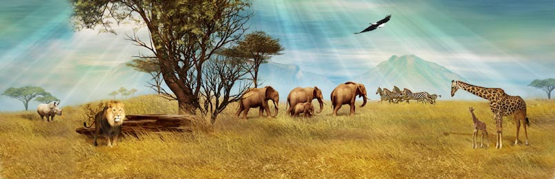 Сафари в саванне, множество африканских животных