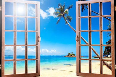 Вид на тропические пальмы и голубой океан через окно