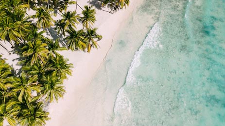 Пляж с тропическими пальмами и береговой линией