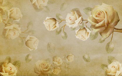 Чайные белые розы на фоне цвета шампань