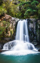 Быстрый водопад Вайау расположенный в лесу