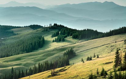 Красивый пейзаж зеленых Карпат