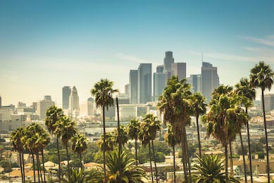 Аэрофотоснимок города Лос-Анджелес с пальмами