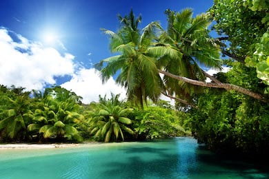 Океан и пальмы тропических джунглей остров Маэ