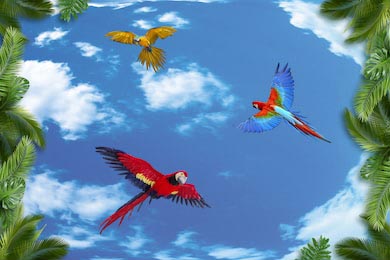 Попугаи летающие возле пальм на фоне неба