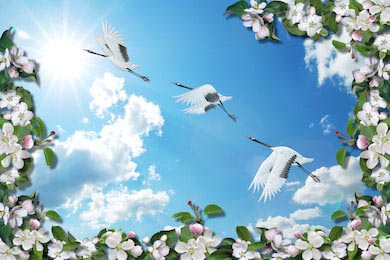 Ветвь цветущей яблони и краны на фоне голубого неба