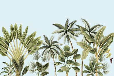 Ботанические пальмы и банановые деревья в тропиках