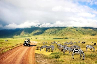 Дикая природа Африки и зебры на фоне гор и облаков