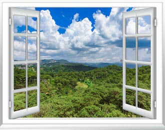 Вид из окна с высоты тропических джунглей на небо