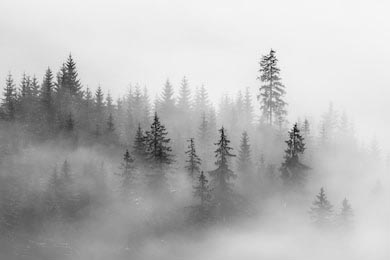 Абстрактный пейзаж в горах, с туманом в лесу