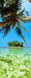 Чистая вода с тропическими пальмами на острове