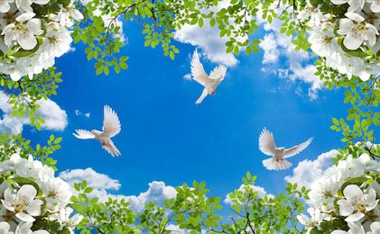 Небо с голубями, белыми и зелеными цветами по углам