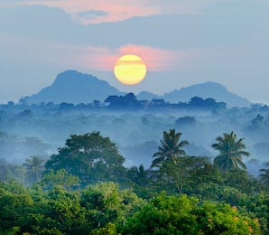 Восход солнца в джунглях Шри-Ланки