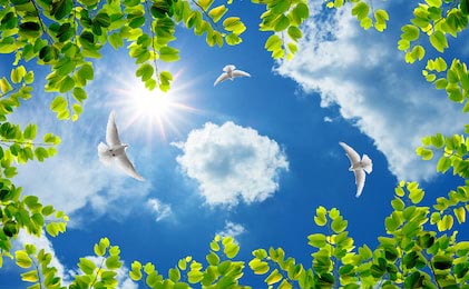 Ветки и летающие голуби в солнечном небе