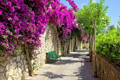 Цветы на дорожке со скамейкой на острове Капри