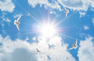 Летающие голуби на фоне солнечного неба
