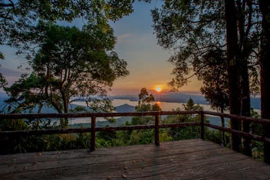 Панорамный вид с террасы на дикую природу в Таиланде