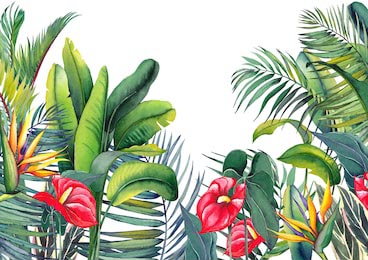 Акварельные тропические цветы пальмы и листья
