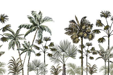 Тропические банановые пальмы на белом фоне