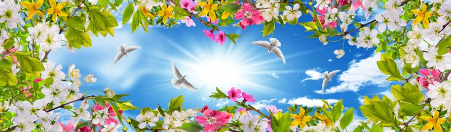 Цветы и летающие голуби в солнечном небе