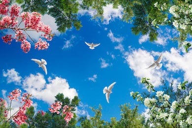 Небо с ветвями деревьев и летающими птицами