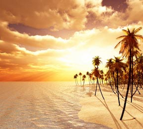 Тропические пальмы на берегу океана на острове мечты