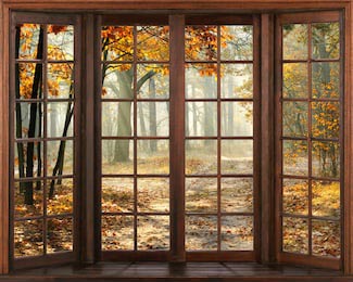 Теплый вид из окна на пейзаж осеннего леса