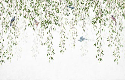 Свисающие ветви вербы с птицами на белом фоне