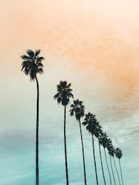 Калифорнийский оранжевый и синий закат с пальмами