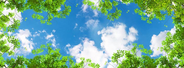 Зеленые деревья и панорамное голубое небо