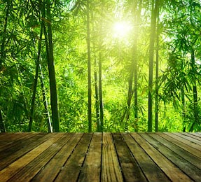 Деревянная платформа и Азиатский бамбуковый лес