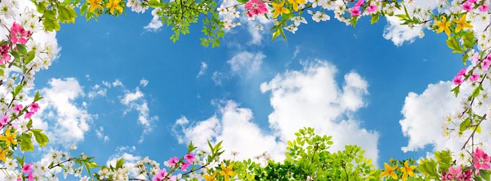 Пейзаж красивое голубое небо и весенние цветы