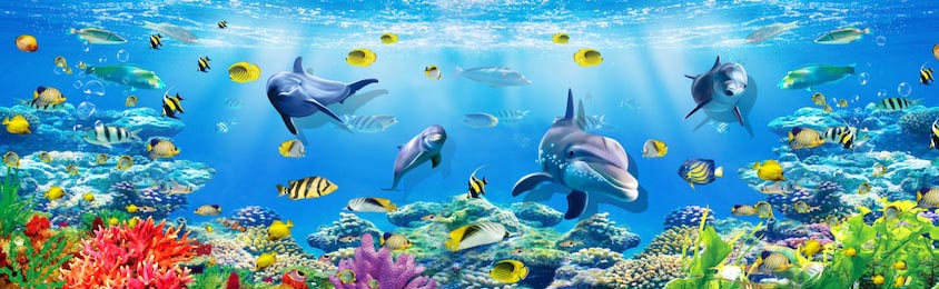 Подводный вид на океанскую фауну и флору