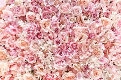 Цветущие нежные розы в букете в пастельных тонах