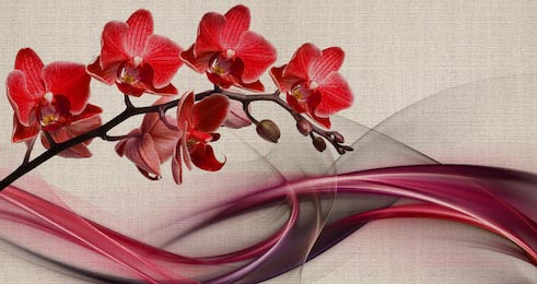 Красные орхидеи с шелковым шлейфом на холсте