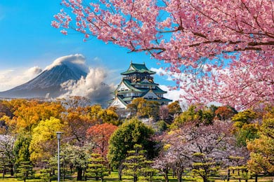 Замок Осаки и цветущая сакура на фоне горы Фудзи
