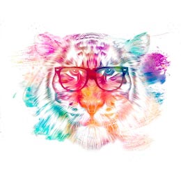 Абстрактный цветной нарисованный тигр на белом фоне