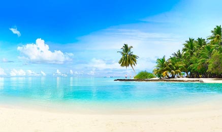 Пляж с белым песком у океана с пальмами и небом