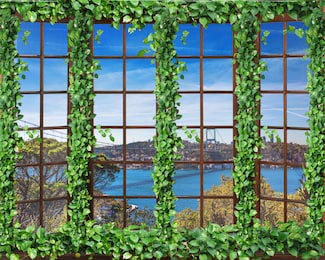Окна обвитые плющем с видом на город у берега моря