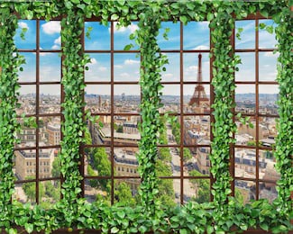 Окно обвитое плющем с видом на Париж