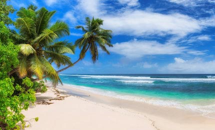 Райский солнечный берег с пальмами и бирюзовым морем