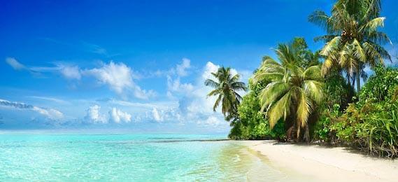 Голубой океан и тропический пляж с пальмами