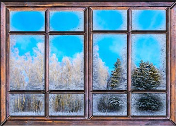 Вид из окна покрытого льдом на зимний сад