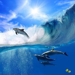 Дельфины плывущие под водой и выпрыгающие с волнами
