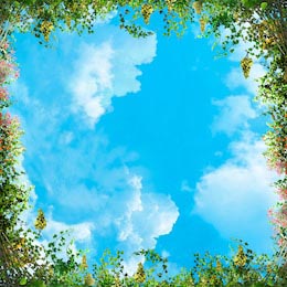 Рамка из цветов и ветвей на фоне голубого неба
