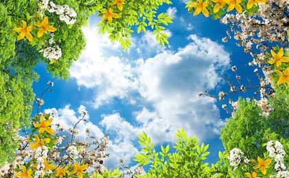 Цветущие деревья и цветы на фоне неба