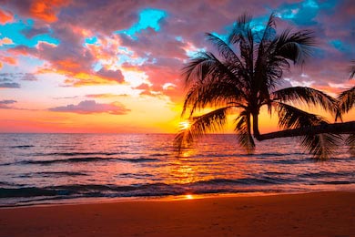 Красивый закат на фоне тропического моря
