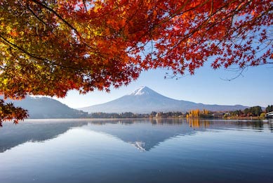 Горы Фудзи на озере с осенними кленовыми листьями