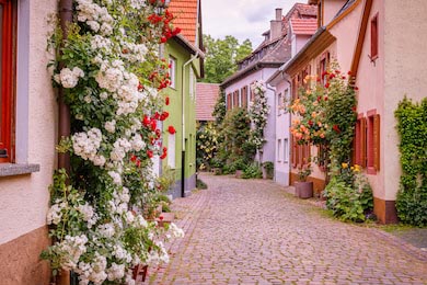 Вьющиеся розы возле домов на узкой улице