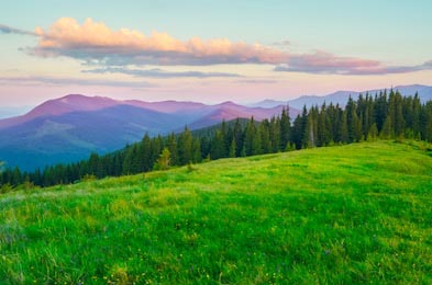 Широкий зеленый луг на фоне рассвета в горах